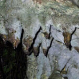 Amabeere Ga Nyinamwiru: The ‘breasts’ of a Beautiful Girl